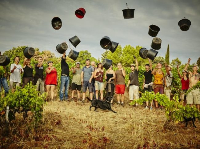 clos_de-serres vendanges, mas fongal, terrasses du Larzac