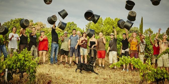clos_de-serres vendanges, mas fongal, terrasses du Larzac